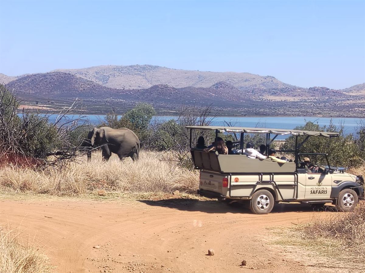 An elephant beside the track as campers watch from an open Sundown Safaris game-drive vehicle, a lake and hills behind