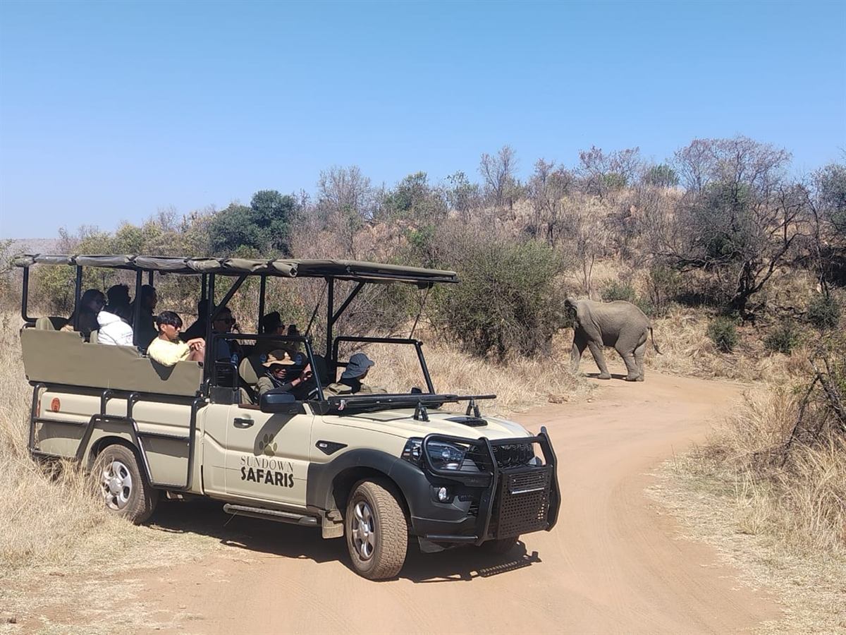 An open game-drive vehicle full of campers on a dirt track in the Pilanesberg, an elephant walking ahead