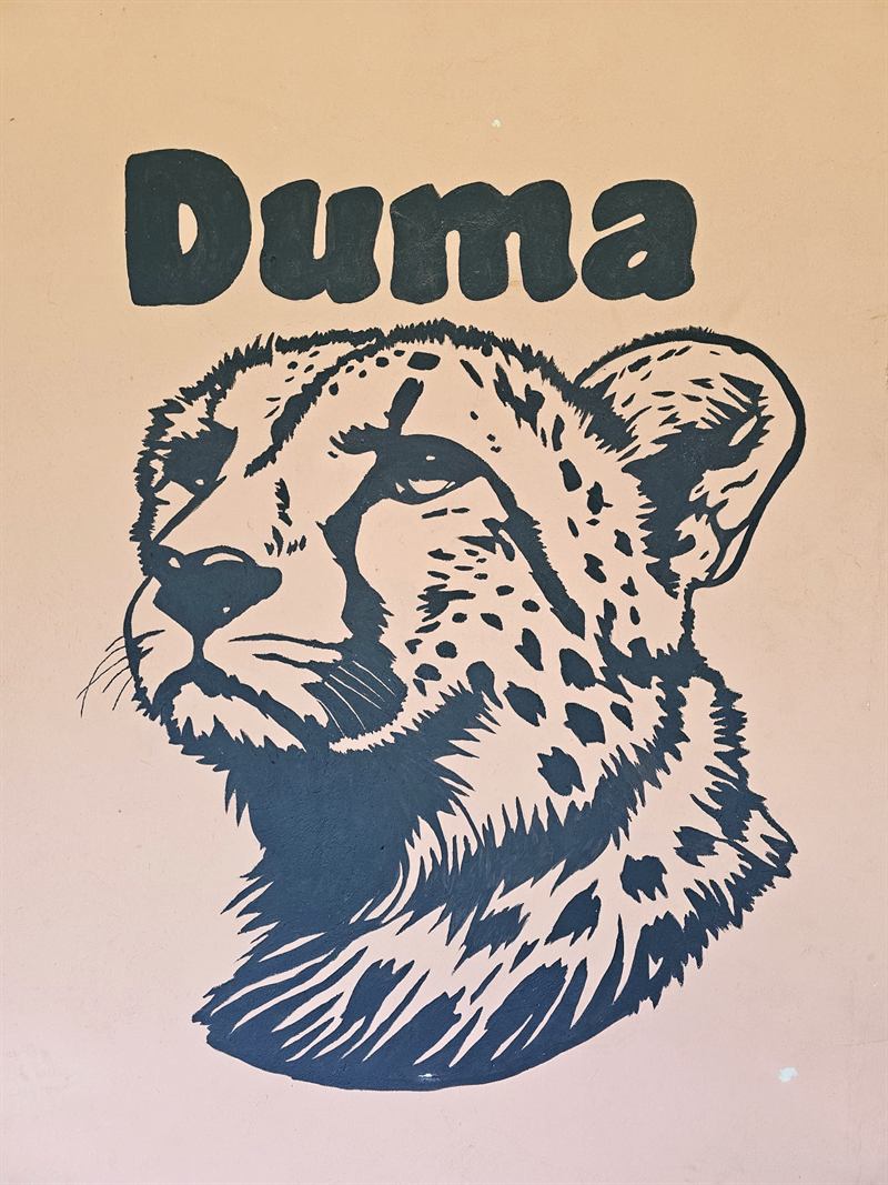 Hand-painted cheetah mural with the name Duma on a Camp Wildside cabin wall