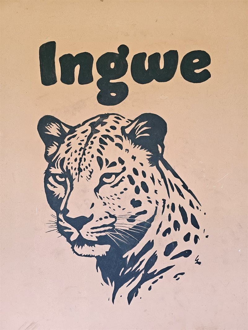 Hand-painted leopard mural with the name Ingwe on a Camp Wildside cabin wall