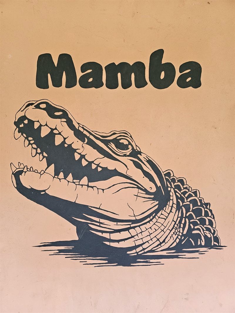 Hand-painted crocodile mural with the name Mamba on a Camp Wildside cabin wall