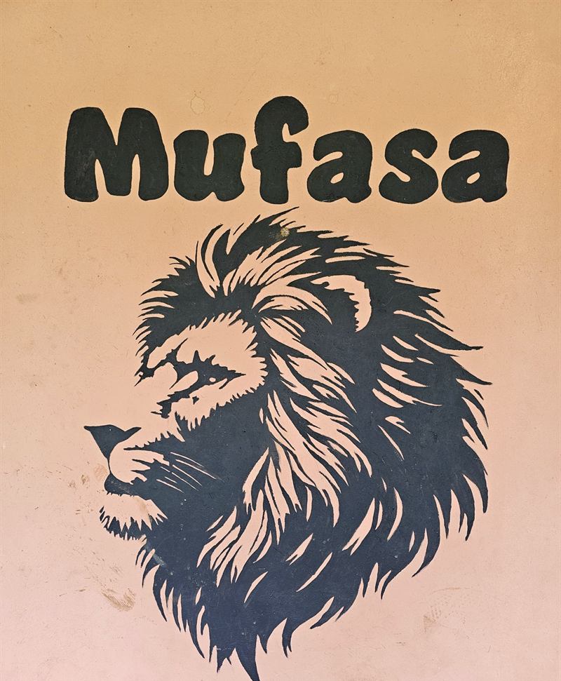 Hand-painted lion mural with the name Mufasa on a Camp Wildside cabin wall