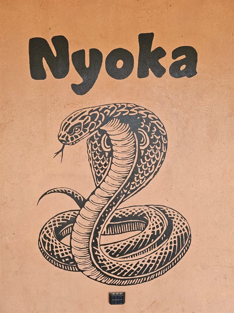 Hand-painted snake mural with the name Nyoka on a Camp Wildside cabin wall
