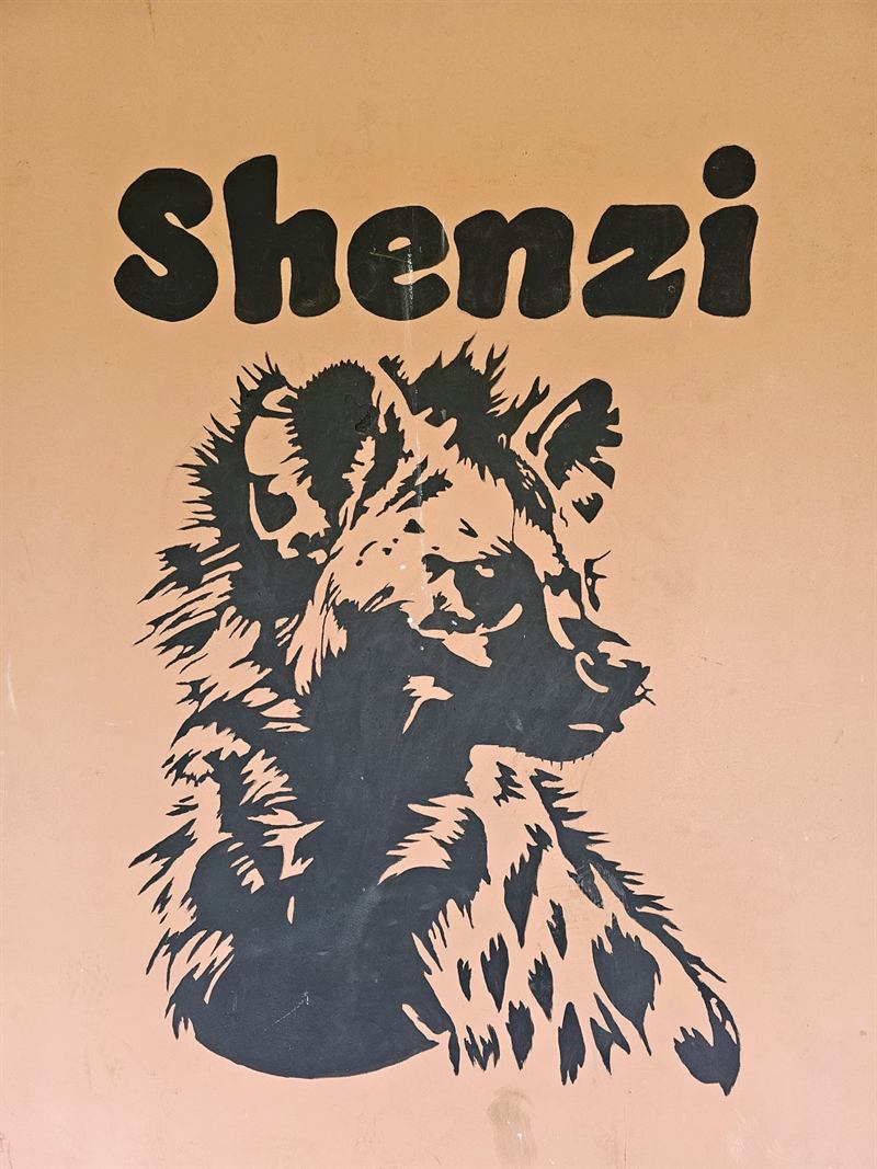 Hand-painted hyena mural with the name Shenzi on a Camp Wildside cabin wall