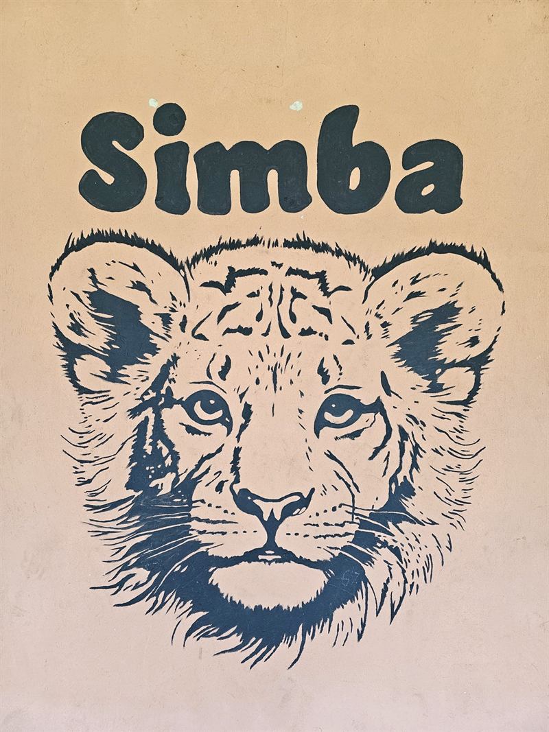 Hand-painted lion cub mural with the name Simba on a Camp Wildside cabin wall