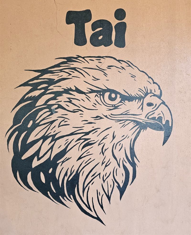 Hand-painted eagle mural with the name Tai on a Camp Wildside cabin wall