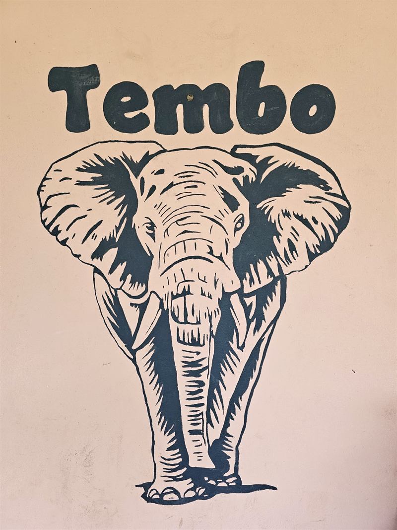 Hand-painted elephant mural with the name Tembo on a Camp Wildside cabin wall