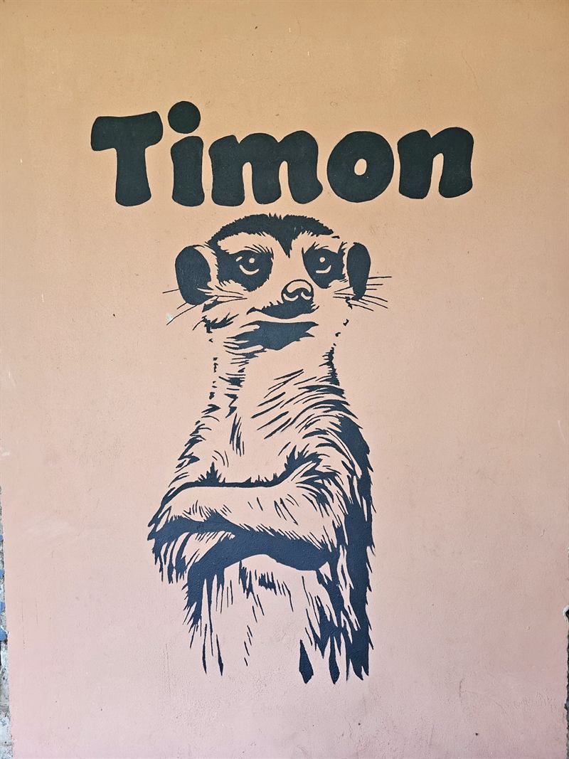 Hand-painted meerkat mural with the name Timon on a Camp Wildside cabin wall