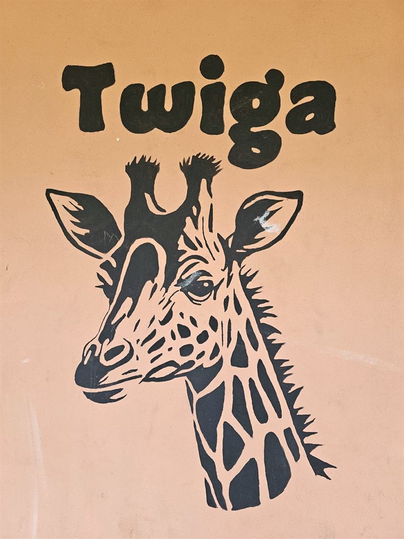 Hand-painted giraffe mural with the name Twiga on a Camp Wildside cabin wall