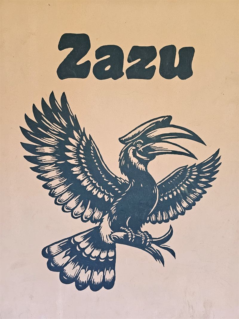 Hand-painted hornbill mural with the name Zazu on a Camp Wildside cabin wall