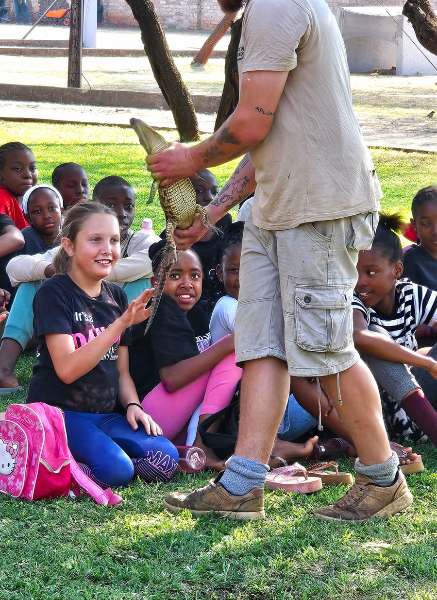 A camper reaches out to touch a small crocodile held by the reptile handler